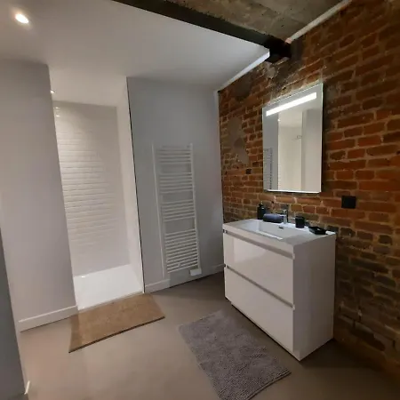 Bel T2 De 50 M2, Spacieux Et Lumineux - 009