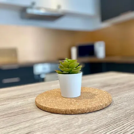 Apartment Bel T2 De 50 M2, Spacieux Et Lumineux - 009